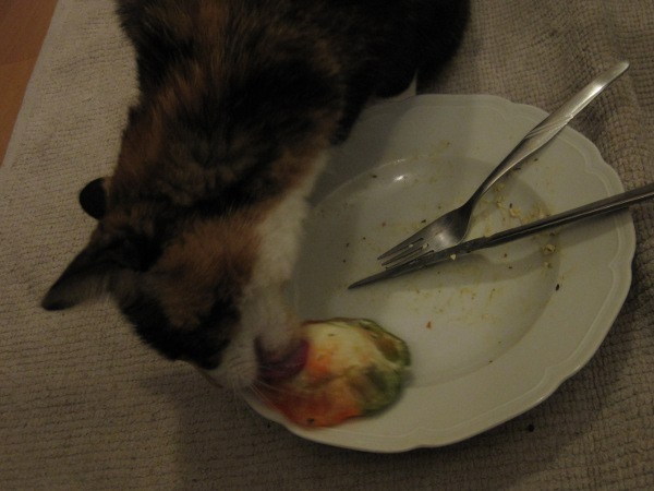 Our cat licking the leftovers